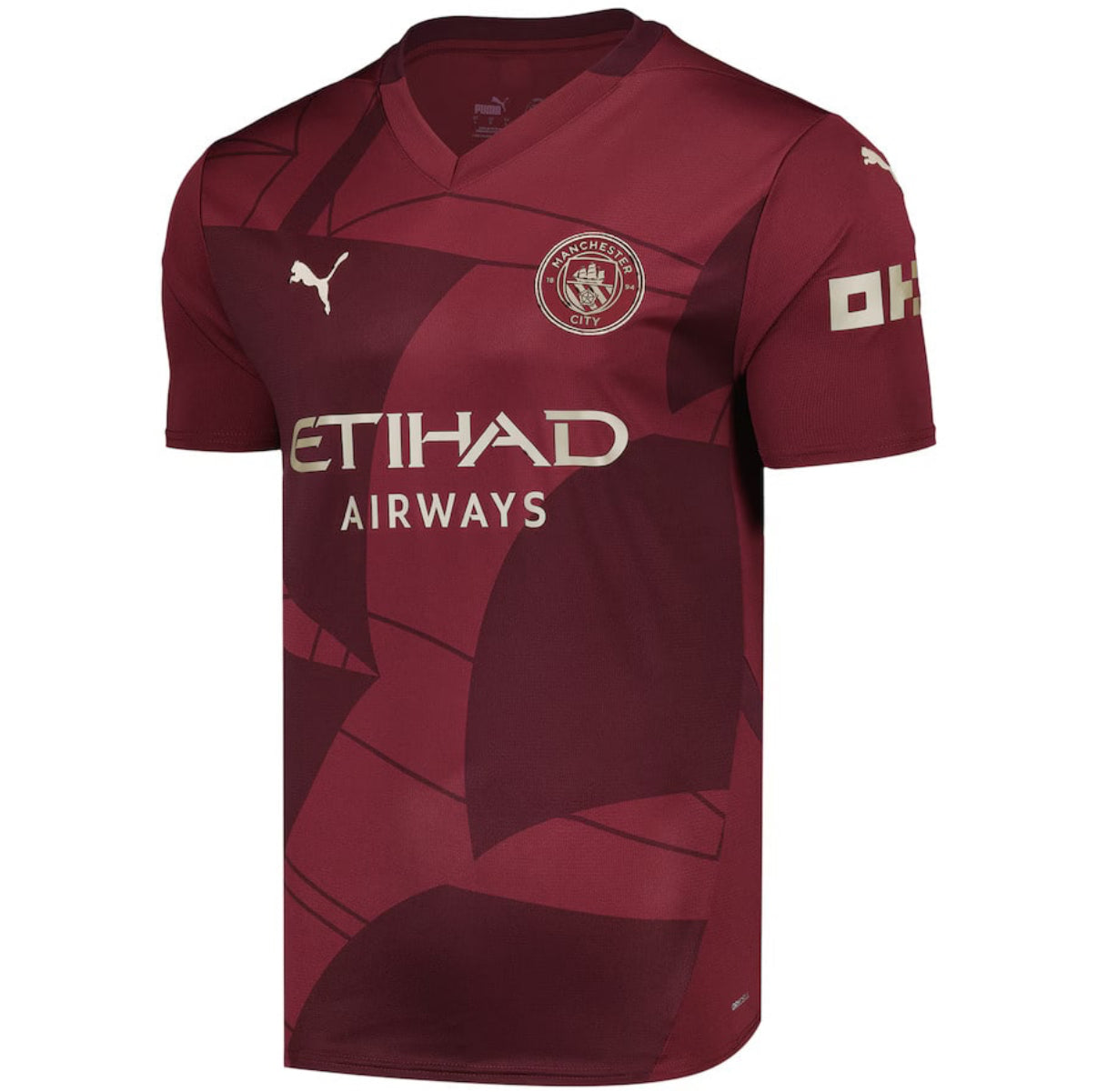 MAILLOT MANCHESTER CITY SPECIAL EDITION 2024/25