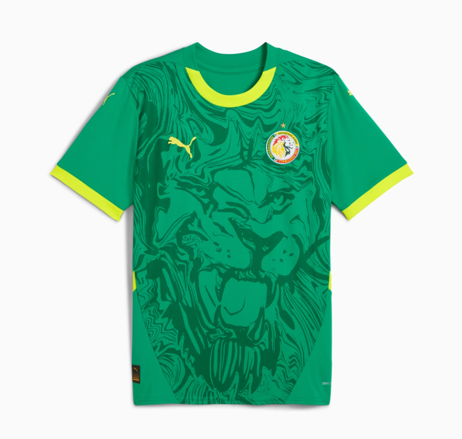 MAILLOT SENEGAL EXTERIEUR 2025