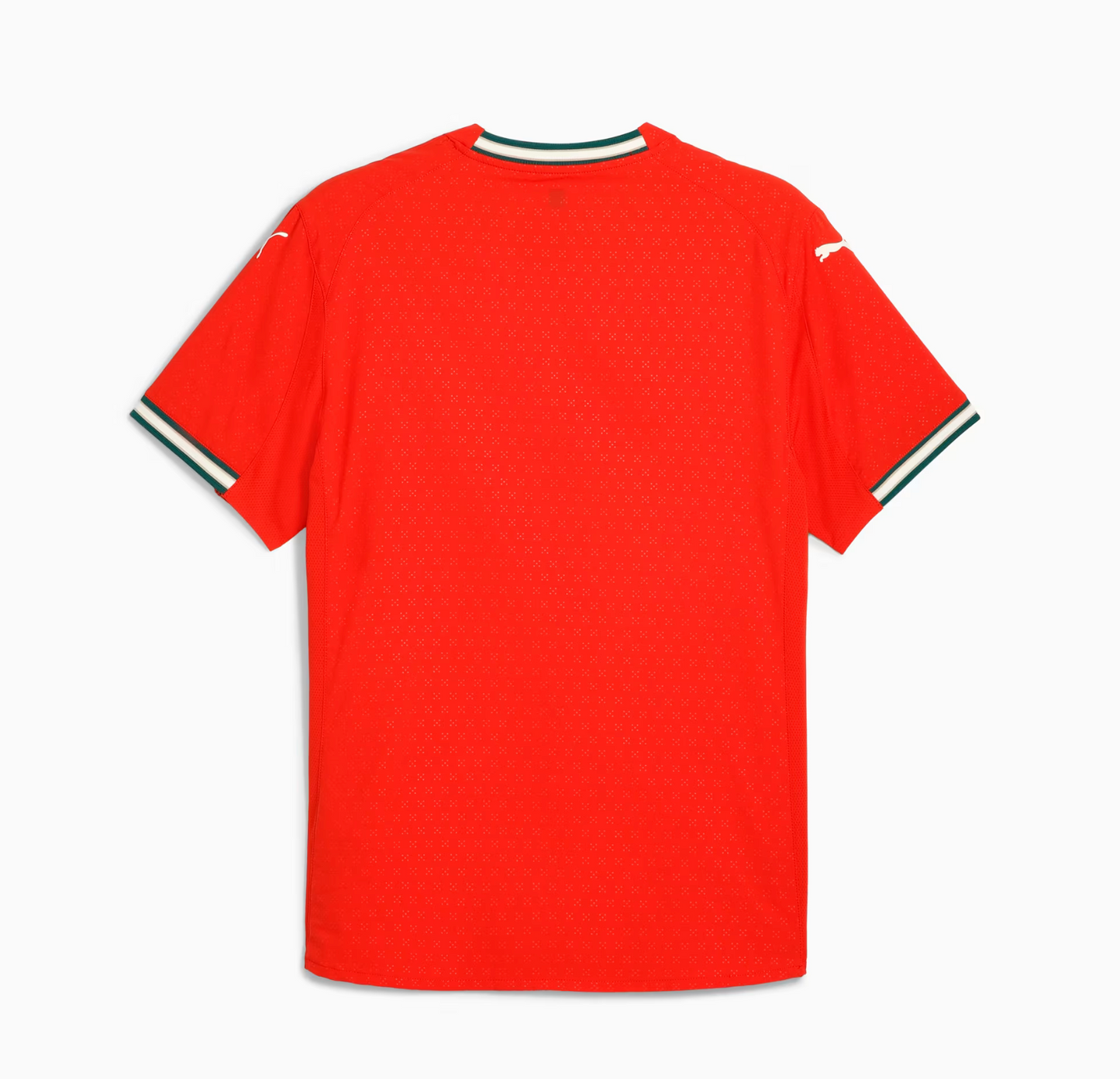 MAILLOT PORTUGAL DOMICILE 2025/26