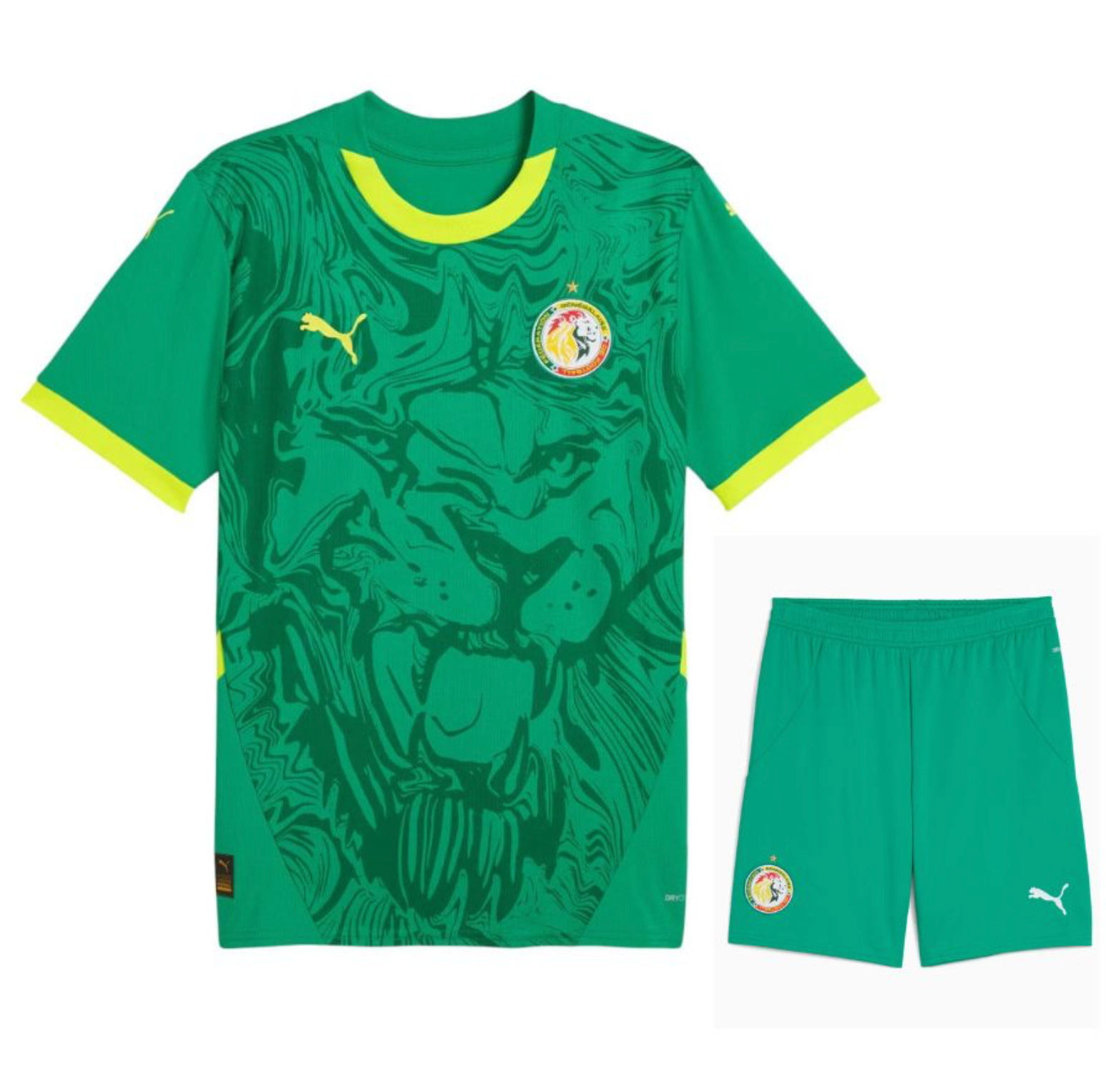 MAILLOT KIT ENFANT SENEGAL EXTERIEUR 2025/26
