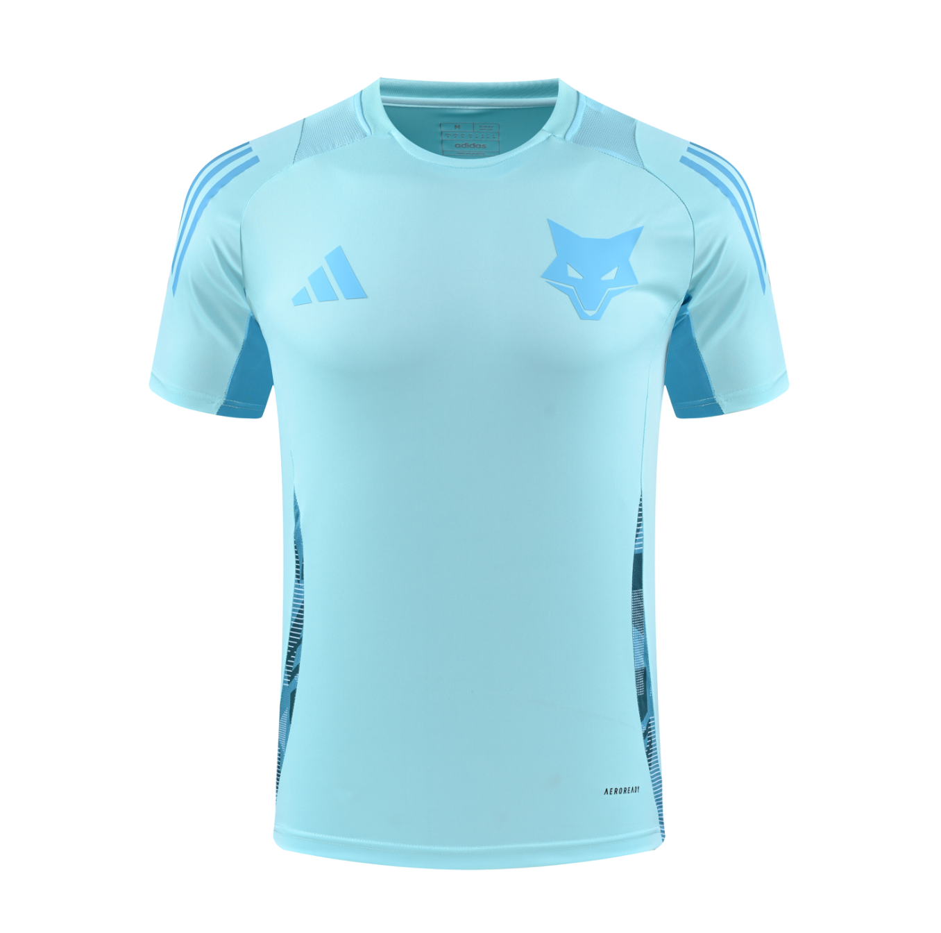 ENSEMBLE ENTRAINEMENT CRUZEIRO 2025/26