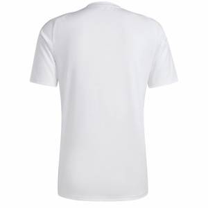 MAILLOT ALGERIE BLANC KARAKOU EDITION 2024/26