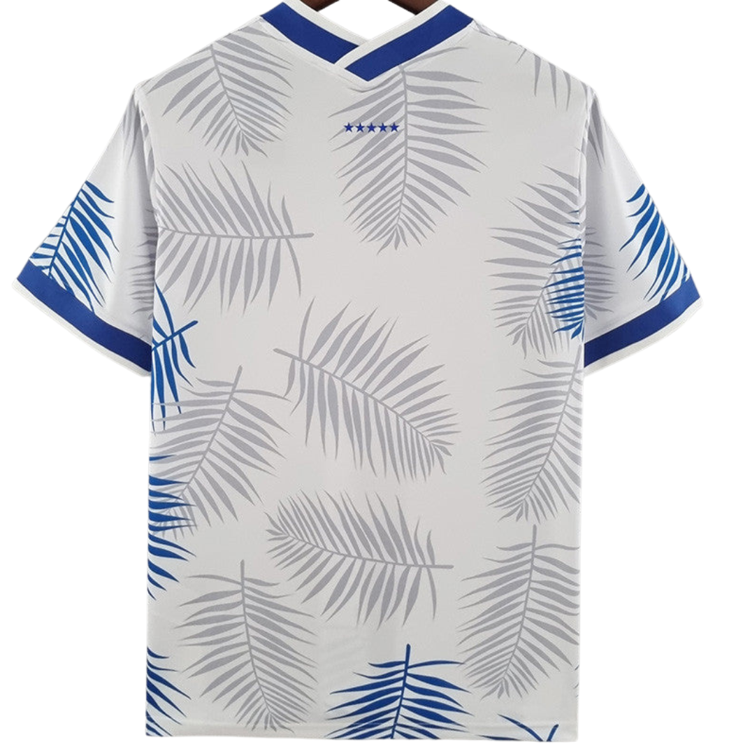 BRAZIL CONCEPT 2023 JERSEY 