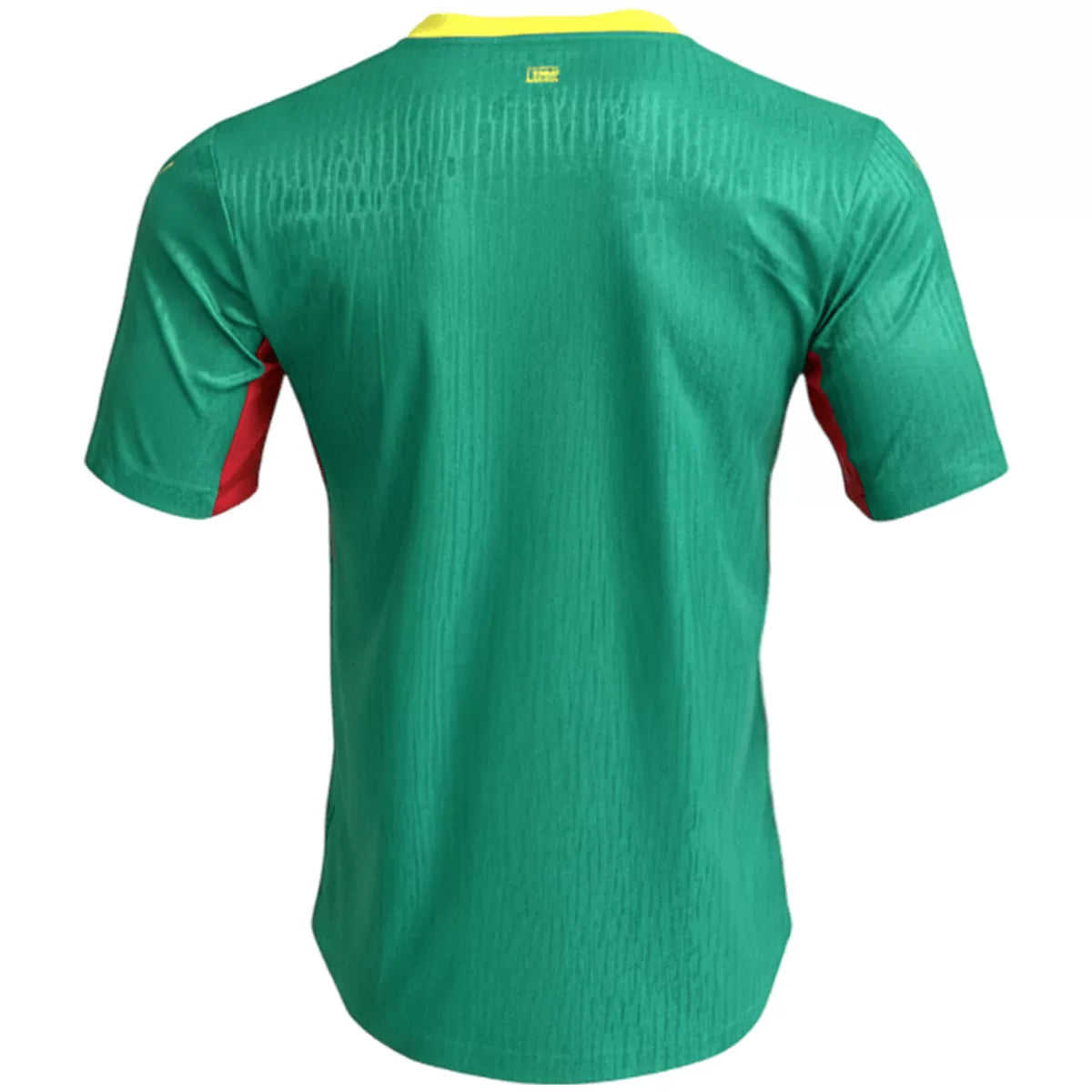 Maillot Sénégal 2 Étoiles Extérieur Coupe du Monde 2026 Version Joueur