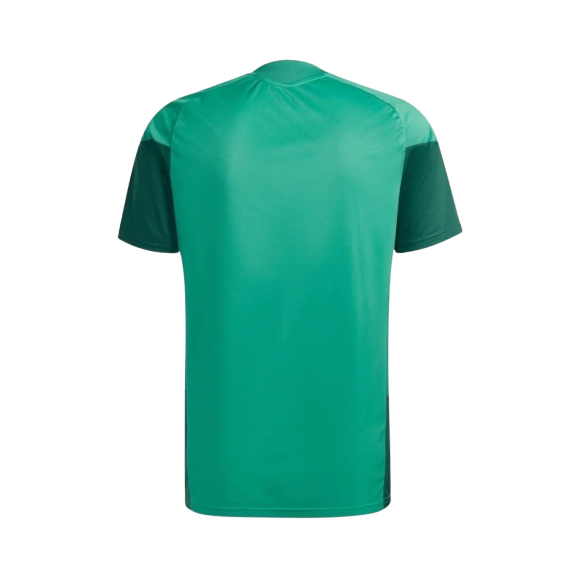 Algeria Training Jersey Green 2026