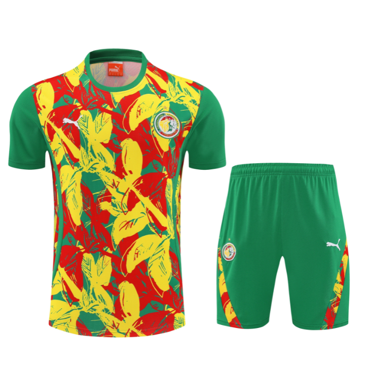 Ensemble Senegal Training 25/26