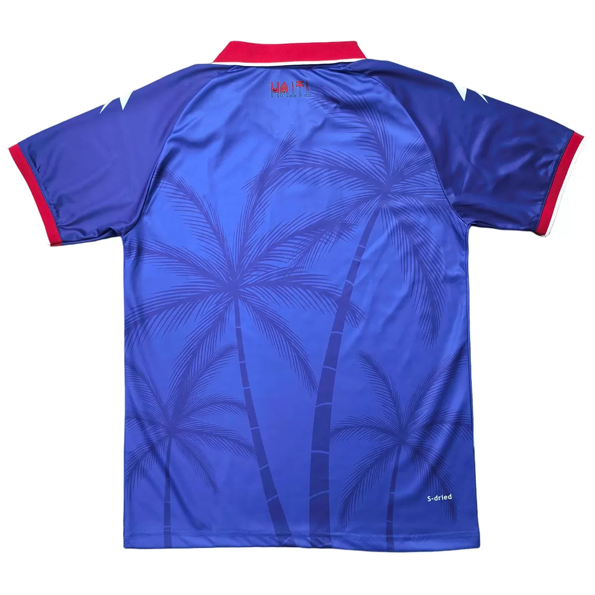 Maillot Haïti Domicile Coupe du Monde 2026