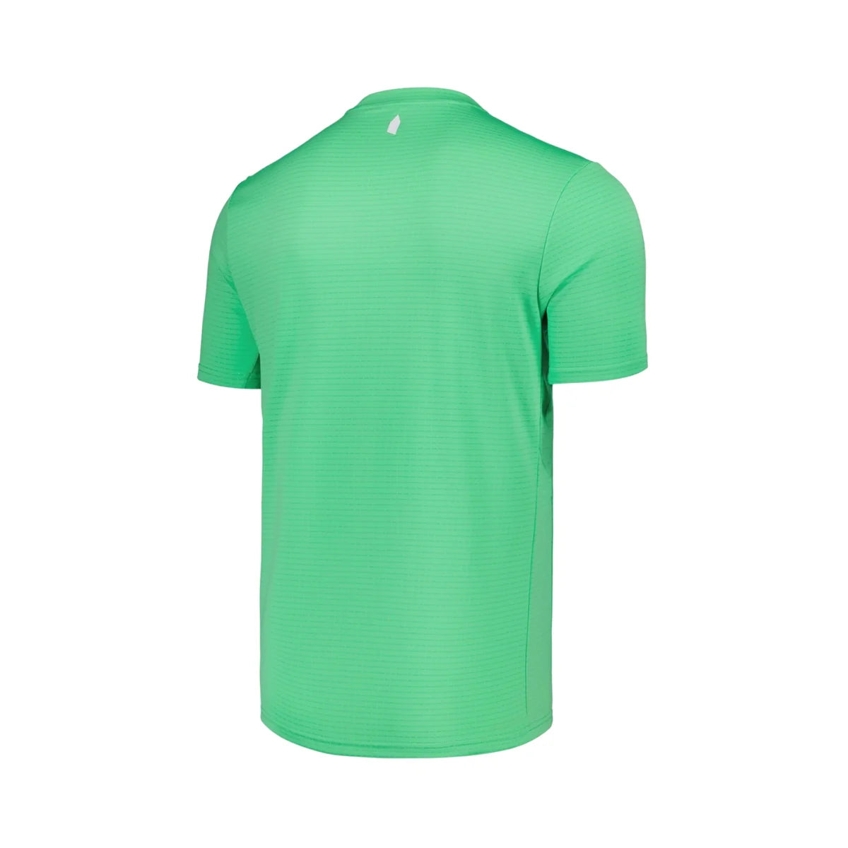Maillot Everton Gardien de but 2025/26