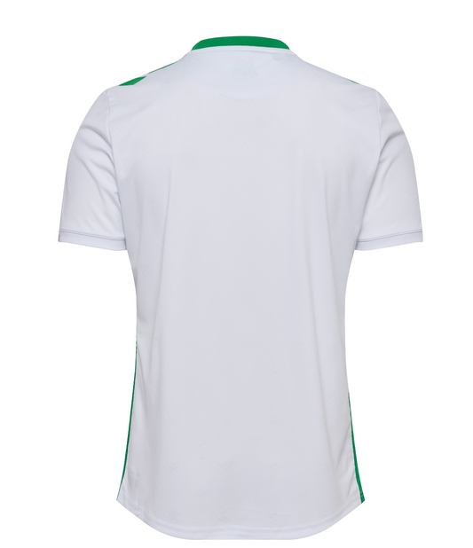 MAILLOT AS SAINT-ETIENNE EXTERIEUR 2024/25