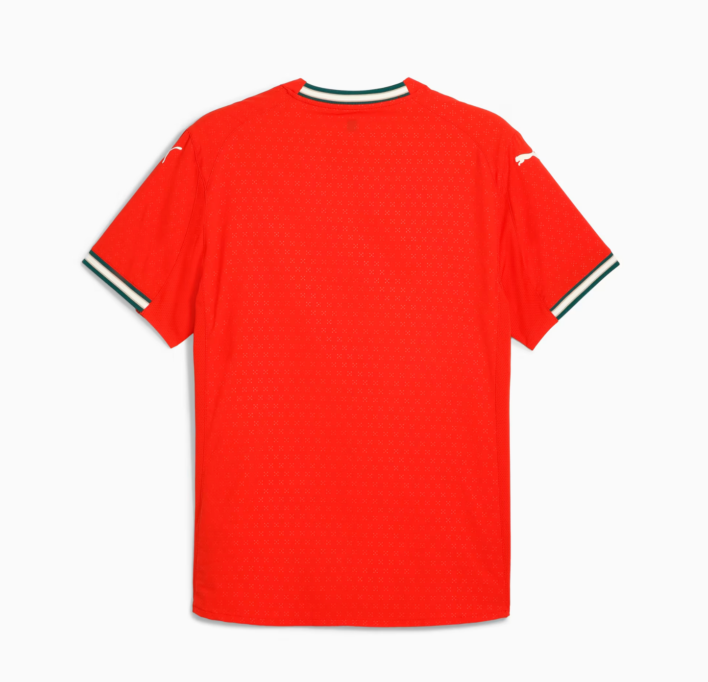 PORTUGAL HOME JERSEY 2024/26 