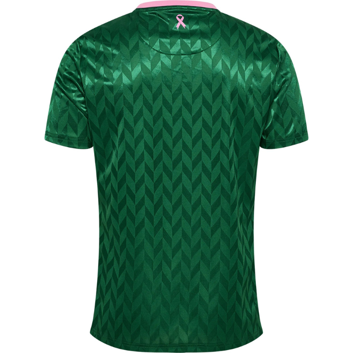 Maillot As Saint-Etienne Édition Spécial 2025/26 vert