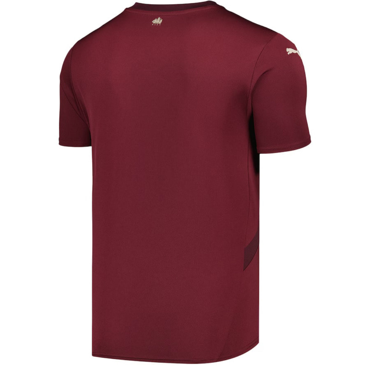 MAILLOT MANCHESTER CITY SPECIAL EDITION 2024/25
