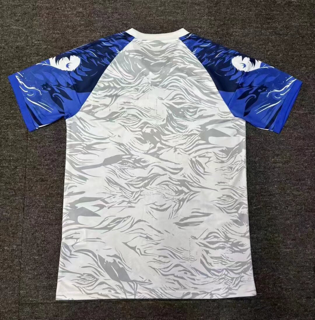 MAILLOT JAPON SPECIAL EDITION  2024/25