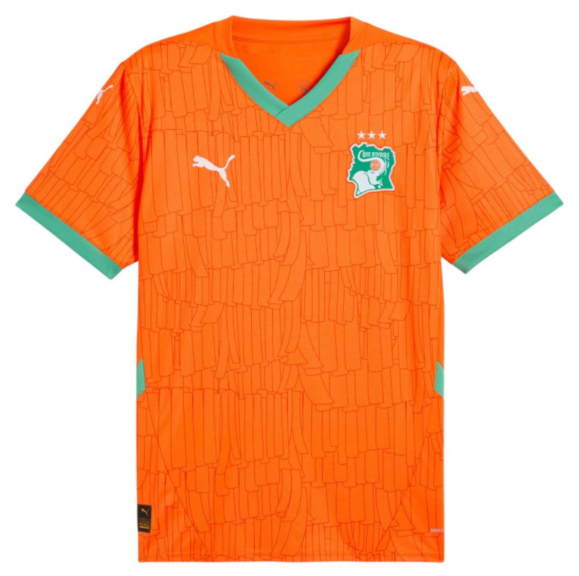MAILLOT KIT ENFANT COTE D'IVOIRE DOMICILE 2025/26