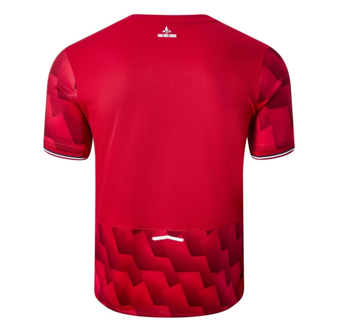 MAILLOT KIT ENFANT LILLE DOMICILE 2025/26