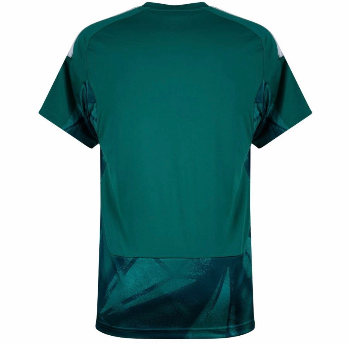 Maillot Allemagne Domicile 26/27 Gardien