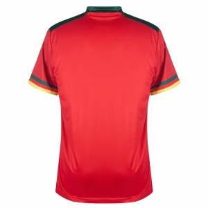 MAILLOT CAMEROUN THIRD 2024/26 - ALLMAILLOT.com  