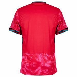 MAILLOT COREE DU SUD EXTERIEUR 2024/26 - ALLMAILLOT.com  