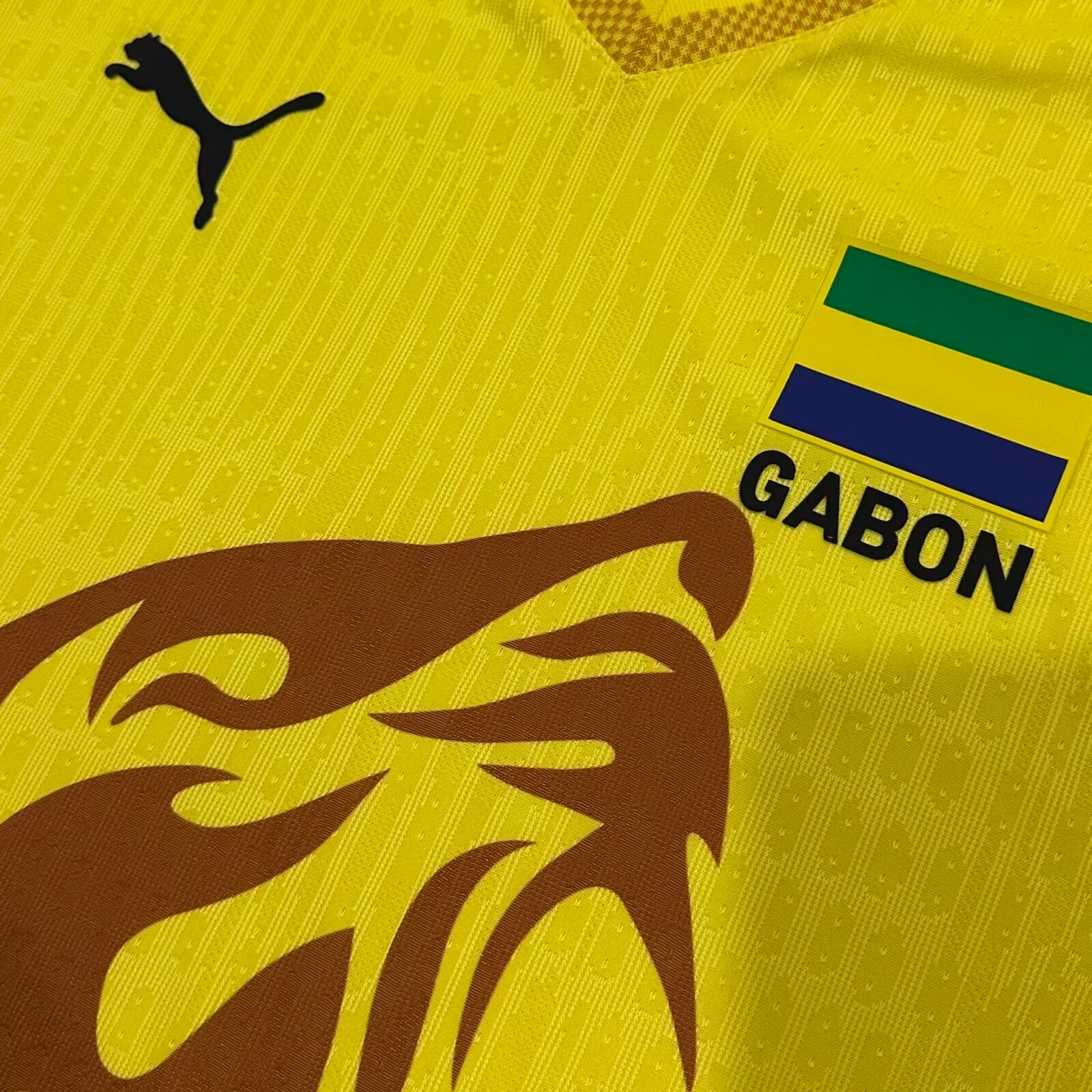 Maillot Gabon Domicile 2025/26 Version Joueur