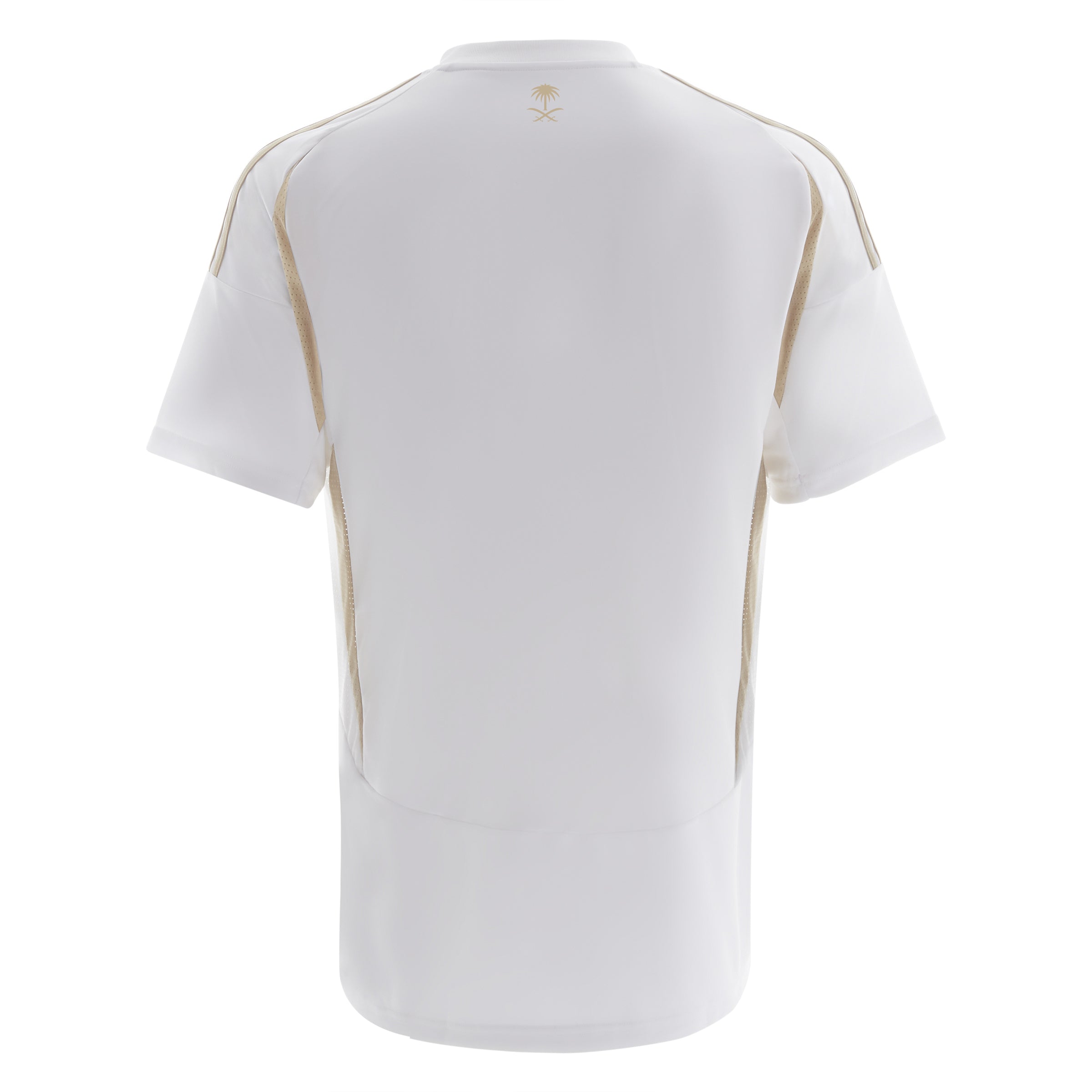 MAILLOT AL NASSR THIRD 2024/25