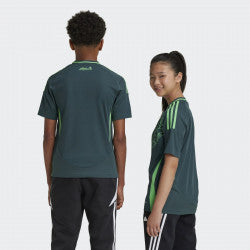 MAILLOT KIT ENFANT ALGERIE EXTERIEUR 2024/25 - ALLMAILLOT.com  